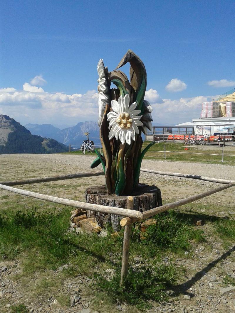 Alpenhaeuser Marcius Sonnenalpe Nassfeld Luaran gambar